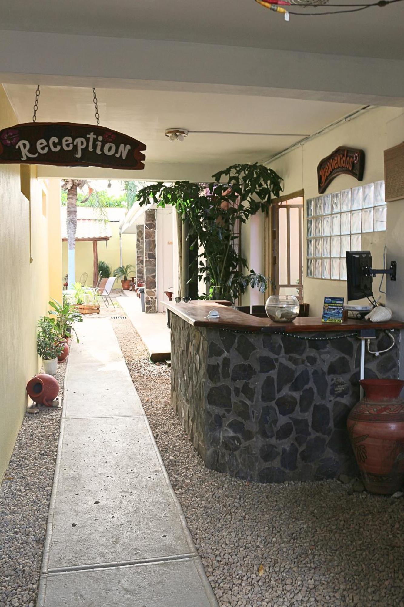 Coconut Beach House بلايا كونشال المظهر الخارجي الصورة