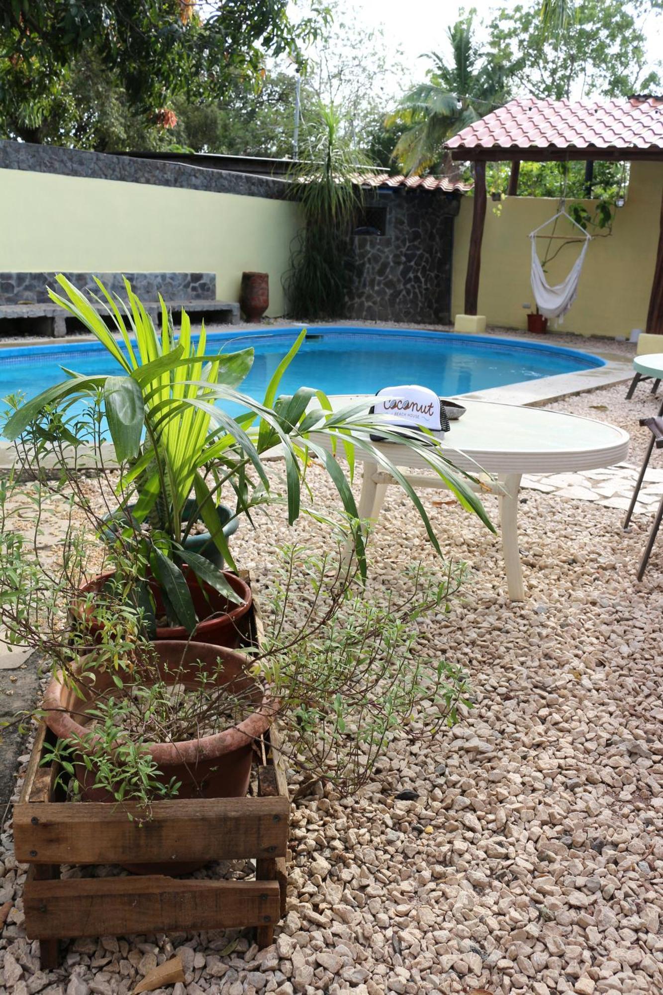 Coconut Beach House بلايا كونشال المظهر الخارجي الصورة