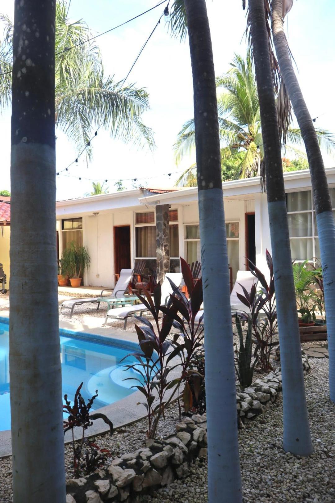 Coconut Beach House بلايا كونشال المظهر الخارجي الصورة